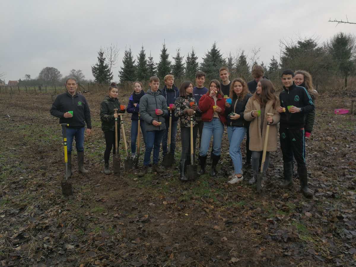 bomen planten